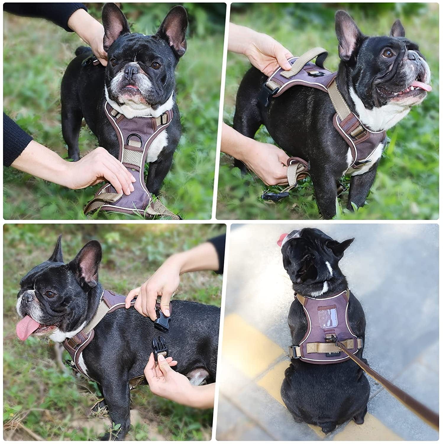 French bulldog harness and winter coat - control and comfort with