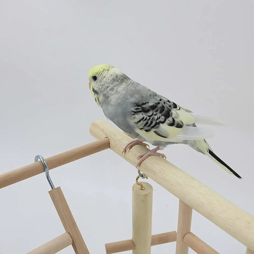 YZJC Pet Play Stand with Ladder Swing for Birds/Parrot Playstand Bird Play Stand Cockatiel Playground Wood Perch Gym Playpen Toys Exercise Play Animals & Pet Supplies > Pet Supplies > Bird Supplies > Bird Gyms & Playstands YZJC   