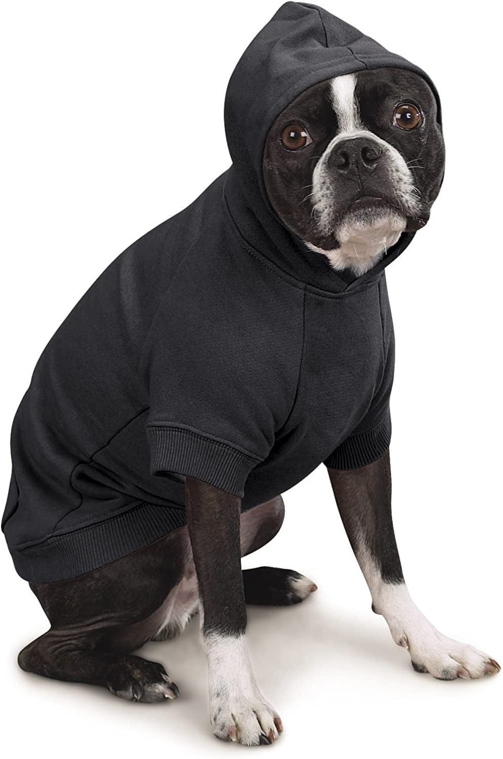 Zack & Zoey Basic Hoodie for Dogs, 24" X-Large, Jet Black Animals & Pet Supplies > Pet Supplies > Dog Supplies > Dog Apparel PetEdge Dealer Services*   