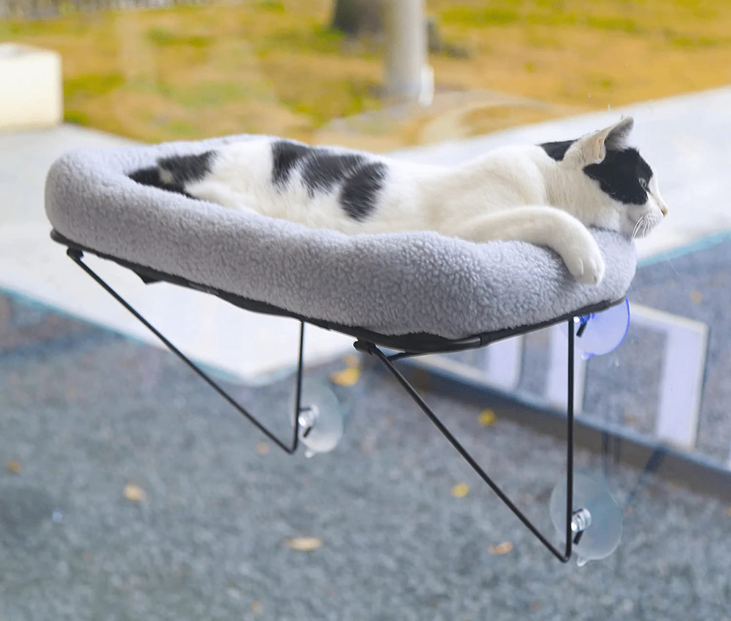 Zakkart Cat Window Perch for Indoor Cats - 100% Metal Supported from below - Comes with Tailored Spacious Pet Bed - Cat Window Hammock for Large Cats & Kittens - for Sunbathing, Napping & Overlooking