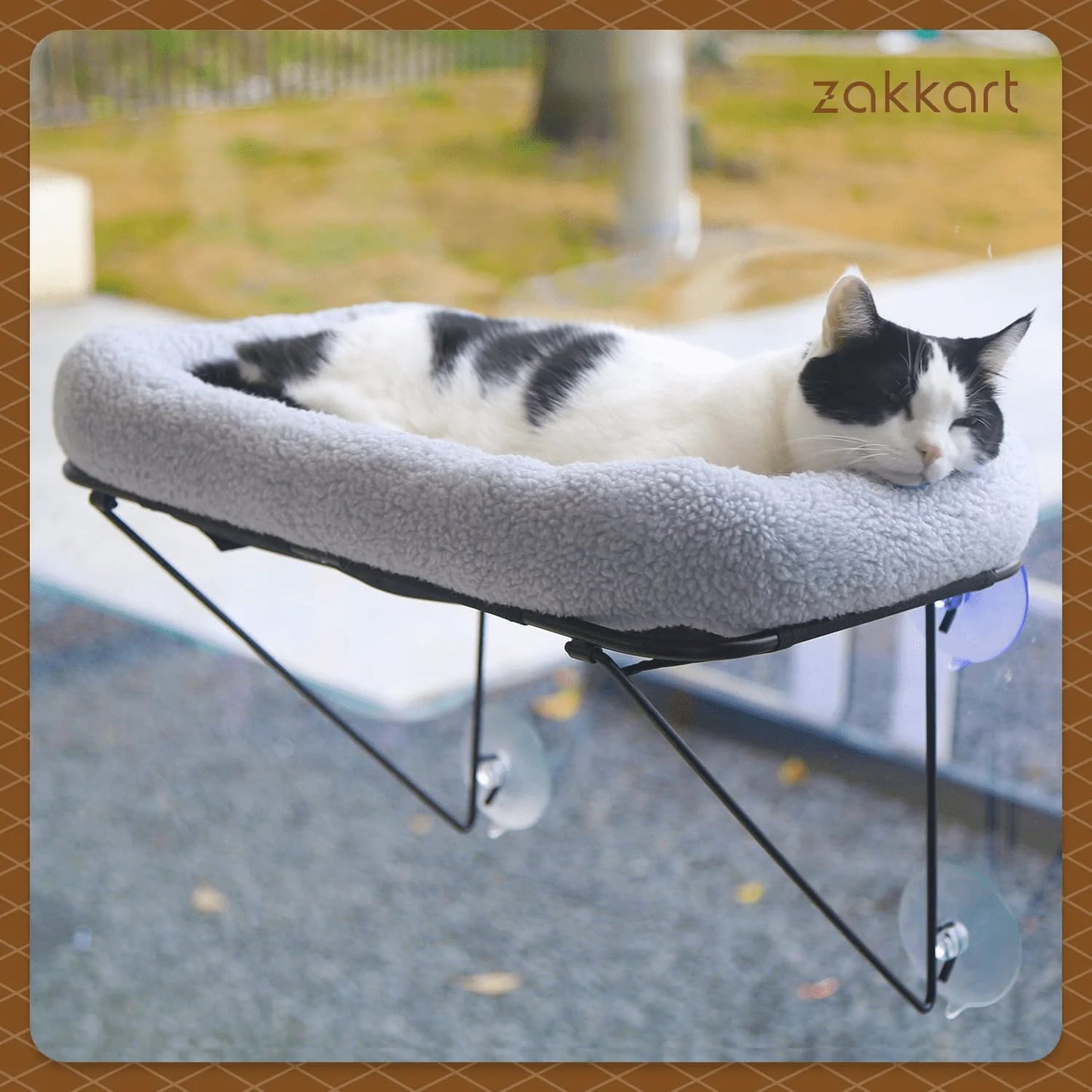 Zakkart Cat Window Perch for Indoor Cats 100 Metal Supported from b KOL PET