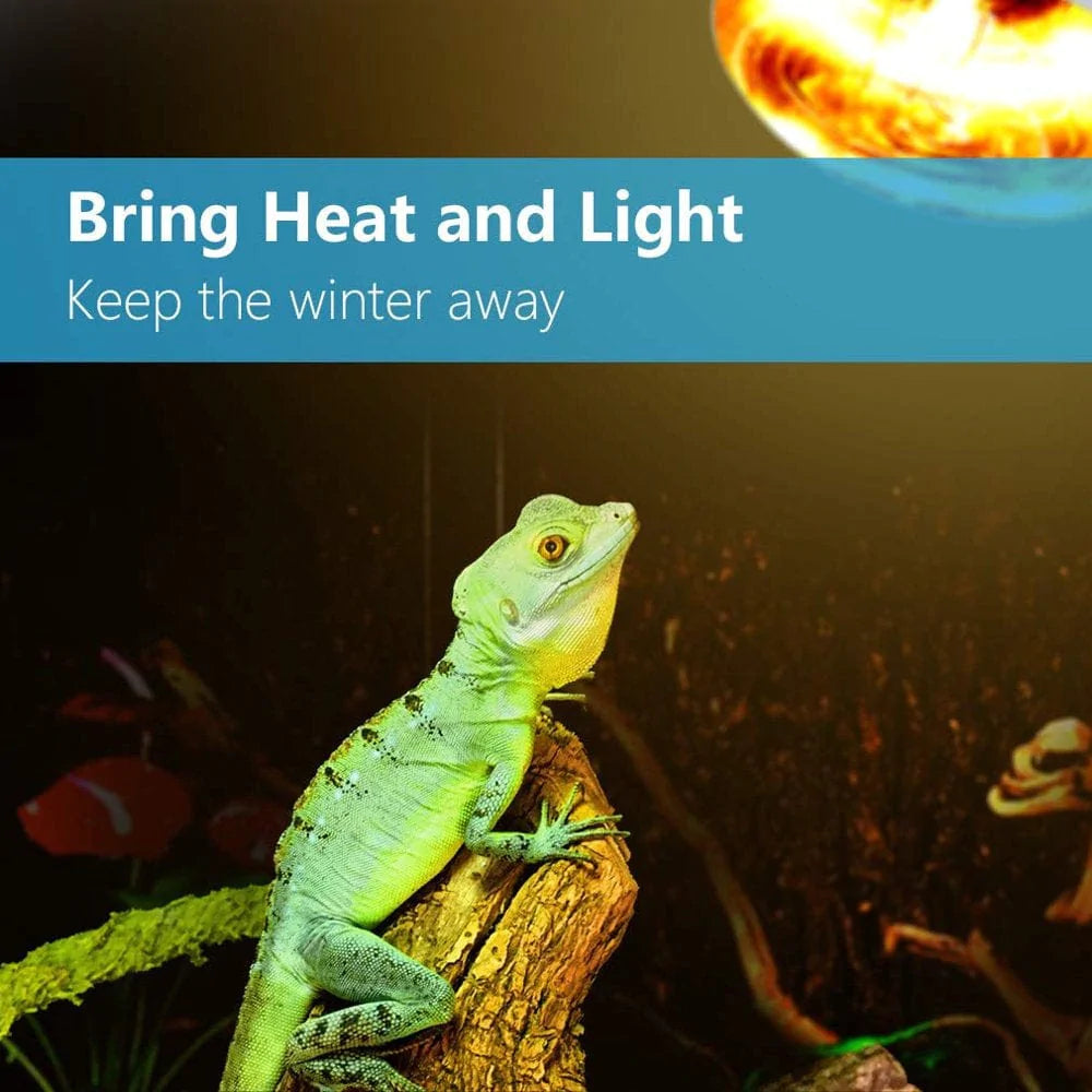 ZALAGA 2 Pack Reptile Uvb Uva Heat Lamp Bulb for Reptiles Truly Sun-Like Bright Heat for Reptiles, Amphibian and Birds (100 W) Animals & Pet Supplies > Pet Supplies > Reptile & Amphibian Supplies > Reptile & Amphibian Habitat Heating & Lighting ZALAGA   