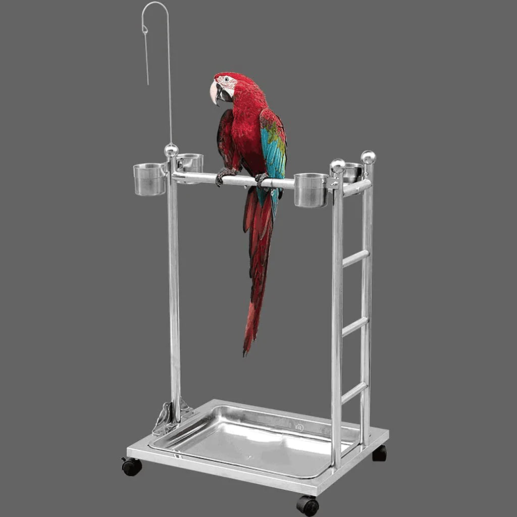 ZANZAN Birdcages Stainless Steel Parrot Play Gym Bird Playground Playstand, Bird Swing Conure Toys Table Play Stand with Food Box Tray-Silver Bird Carrier Animals & Pet Supplies > Pet Supplies > Bird Supplies > Bird Gyms & Playstands ZANZAN   