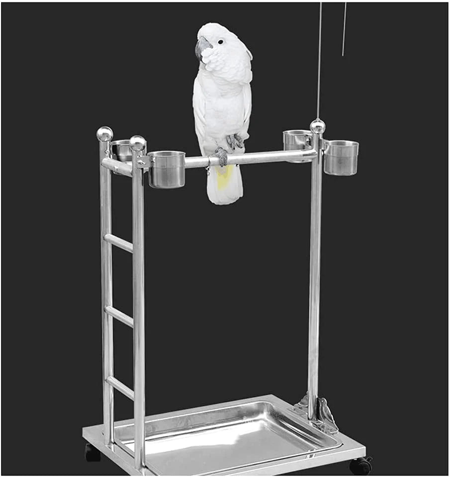 ZANZAN Birdcages Stainless Steel Parrot Play Gym Bird Playground Playstand, Bird Swing Conure Toys Table Play Stand with Food Box Tray-Silver Bird Carrier Animals & Pet Supplies > Pet Supplies > Bird Supplies > Bird Gyms & Playstands ZANZAN   