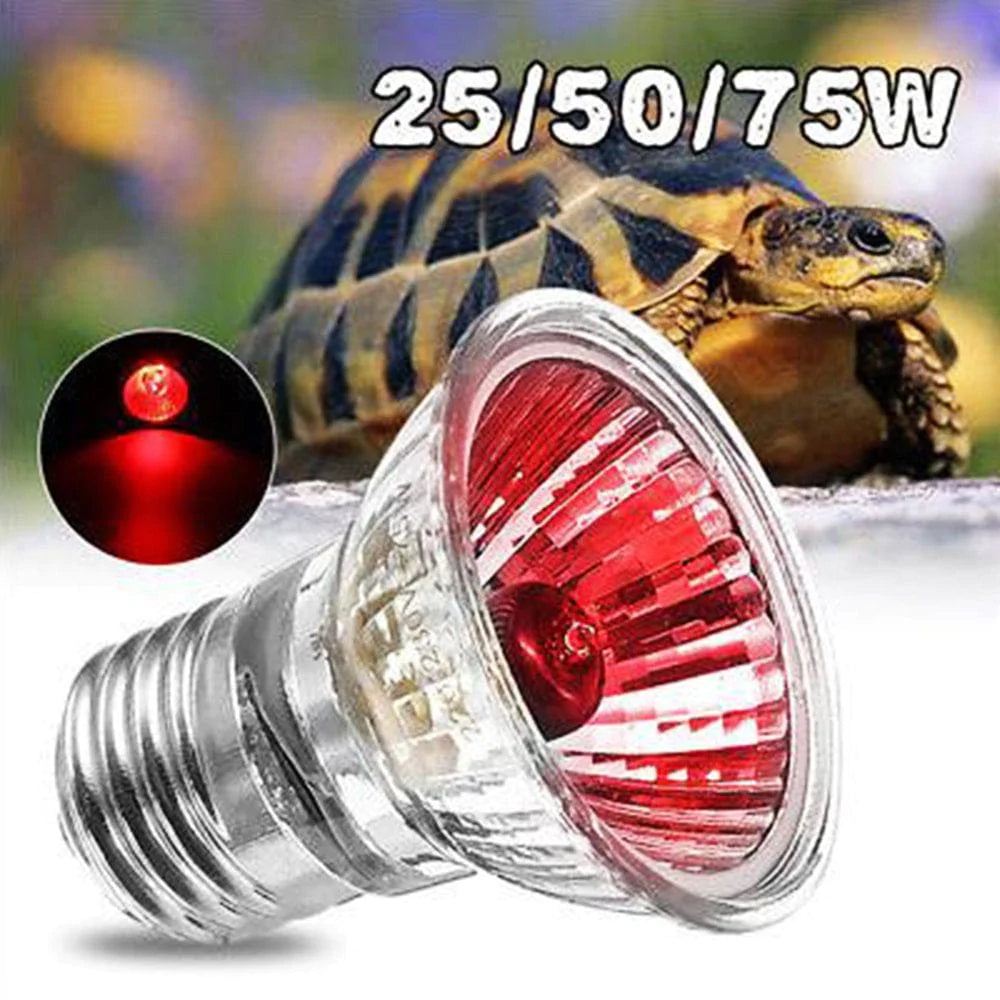Zchome UVA UVB Amphibians Reptiles Bird Snake Light Bulbs Emitter Warming Heating Lamp