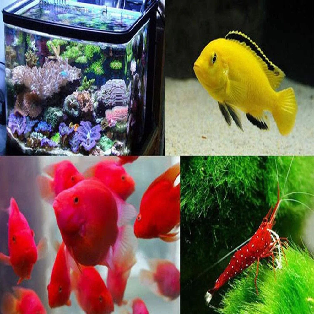 Zeiger Full Spectrum Tank Light 42 - 52 Inch LED Aquarium Lighting Dimming Timing Control Hood Lamp for Freshwater Marine Plant Decorations Light 50 65 75 Gallon Animals & Pet Supplies > Pet Supplies > Fish Supplies > Aquarium Lighting Zeiger   