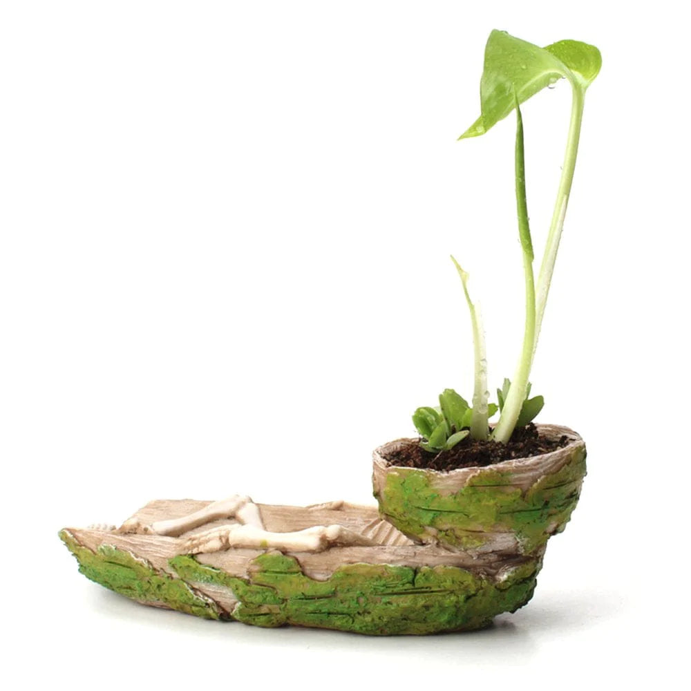 ZENTREE Skeleton Reptile Food Bowl Amphibian Pet Bearded Dragon Cage Rock Decoration Water Injection Humidification Function Animals & Pet Supplies > Pet Supplies > Reptile & Amphibian Supplies > Reptile & Amphibian Food ZENTREE   