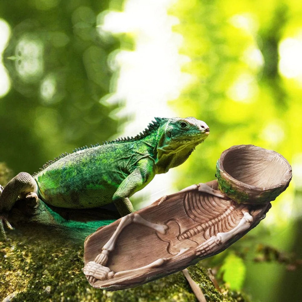 ZENTREE Skeleton Reptile Food Bowl Amphibian Pet Bearded Dragon Cage Rock Decoration Water Injection Humidification Function Animals & Pet Supplies > Pet Supplies > Reptile & Amphibian Supplies > Reptile & Amphibian Food ZENTREE   