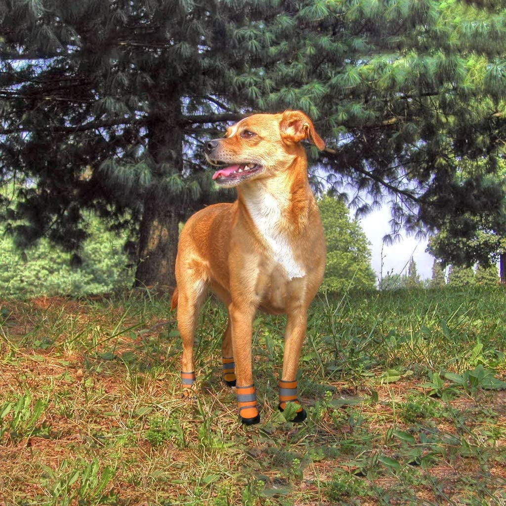Zeraty Dog Boots Paw Shoes for Medium Large Dogs with Non-Slip Sole/Reflective Straps/Orange Set of 4PCS / 2PCS