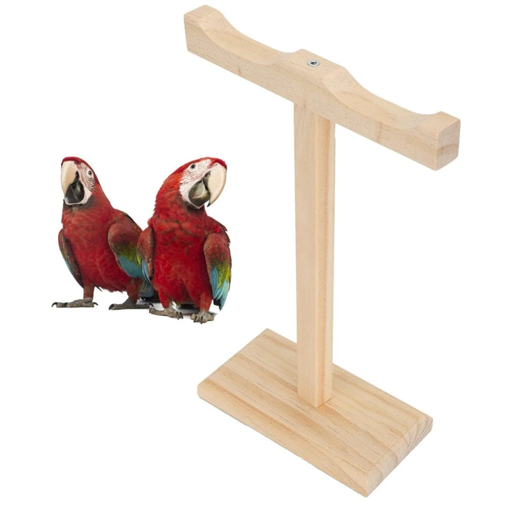 Zerodis Bird Standing Perch, Small Bird Pet Perch Stand Parakeet Wood Standing Gym Training Grinding Toy Playstand Holder