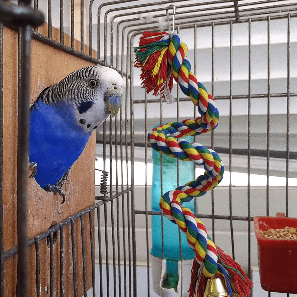 Zhuohai Bird Rope Perch, Colorful Rotate Cotton Rope Bird Perch Stand, Rope Bungee Bird Toy for Parakeets Cockatiels, Conures, Parrots, Love Birds Animals & Pet Supplies > Pet Supplies > Bird Supplies > Bird Ladders & Perches zhuohai   