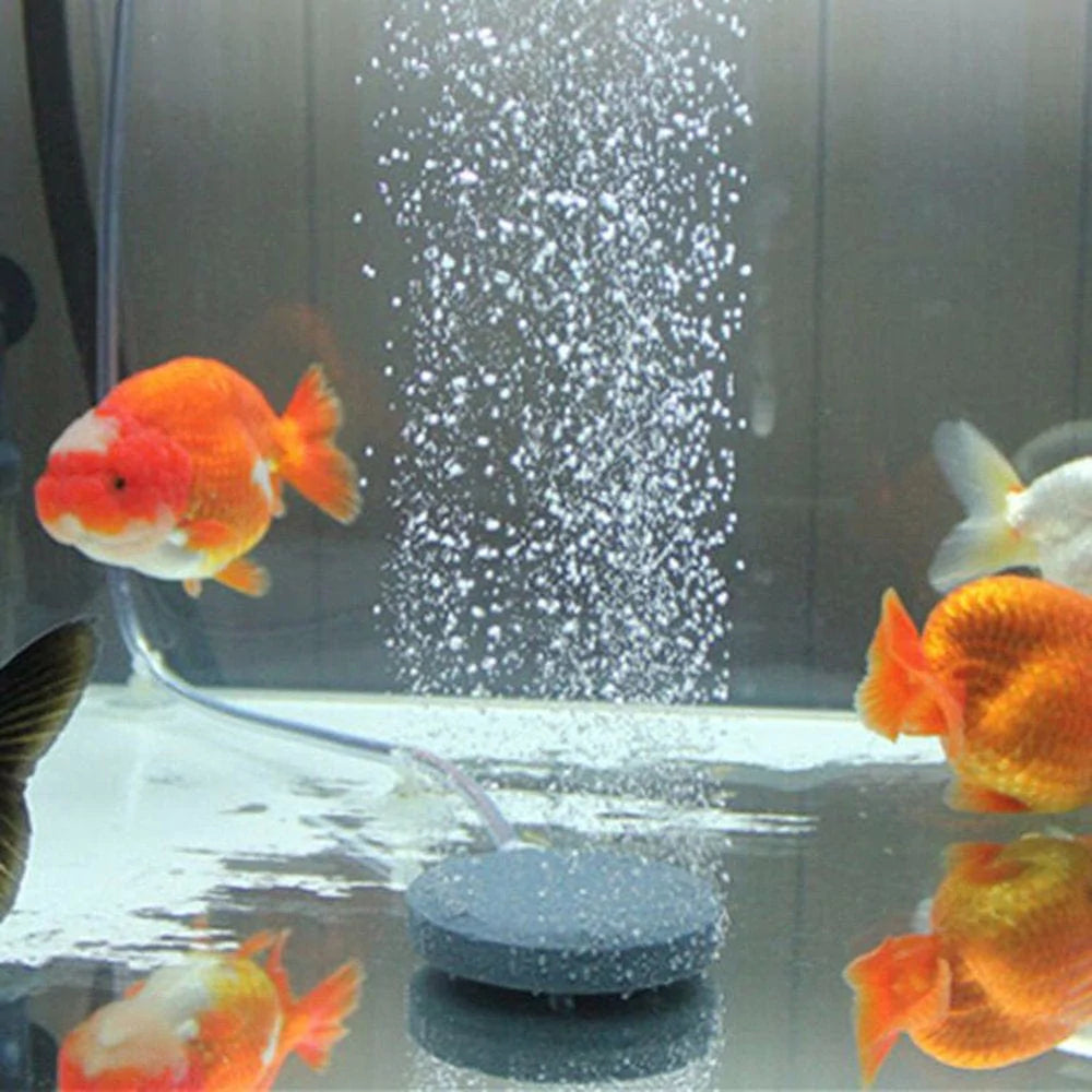 ZIG 10/13/20Cm Aquarium Air Bubble Stone Fish Tank Hydroponic Oxygen Diffuser Plate Animals & Pet Supplies > Pet Supplies > Fish Supplies > Aquarium Air Stones & Diffusers Zig   