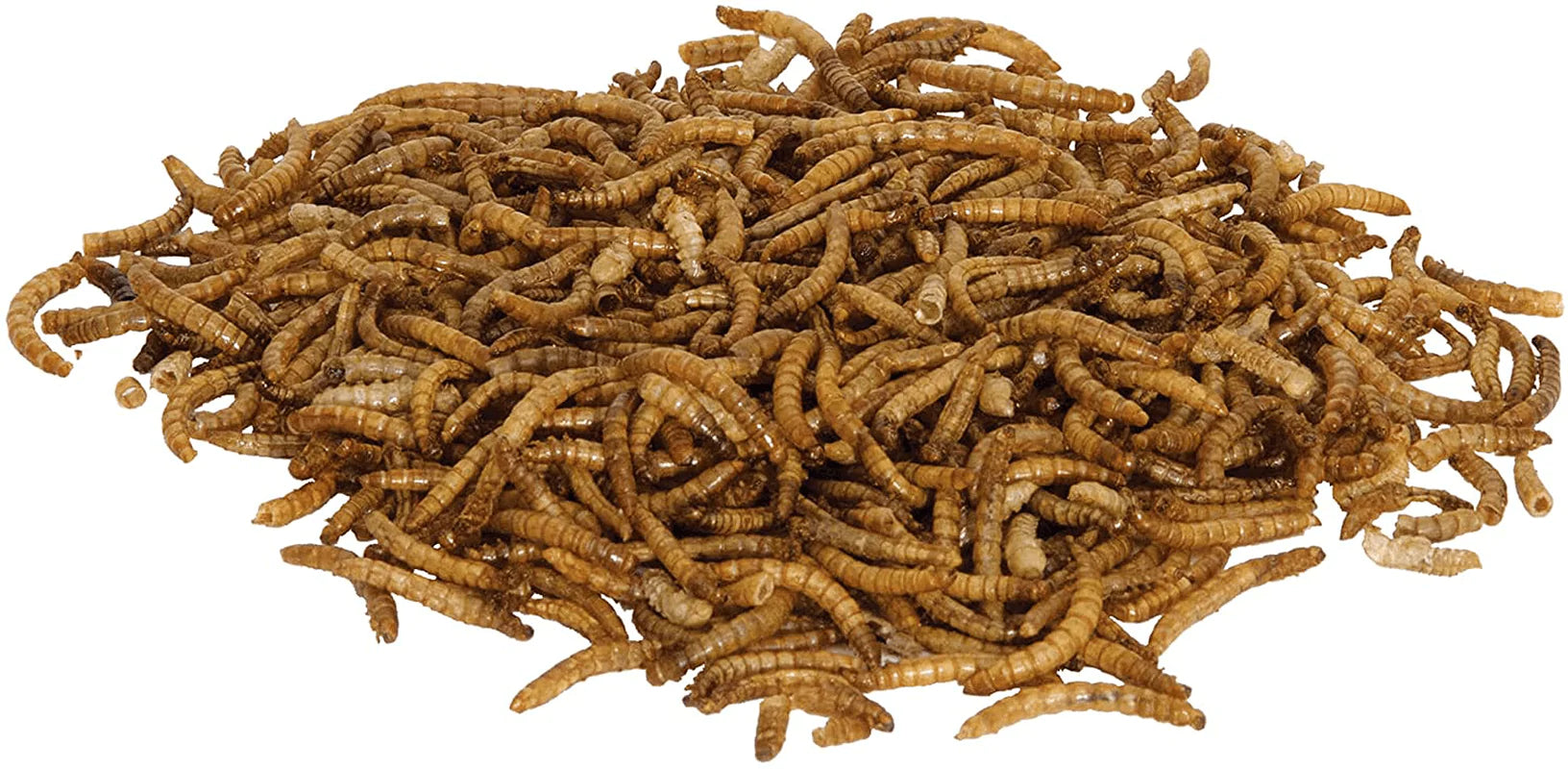 Zilla Reptile Food Munchies Mealworm, 3.75-Ounce Animals & Pet Supplies > Pet Supplies > Reptile & Amphibian Supplies > Reptile & Amphibian Food Zilla   