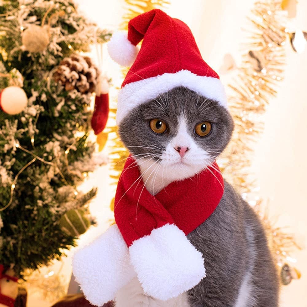 Zmmyuluo Pet Christmas Hats 4 Pcs Cat Santa Hats 5.5 Inch X7.8 Inch Pet Hats Dog Cat Pet Santa Hats for Cat Puppy Dog, Red Christmas Hats, (HF-TD) Animals & Pet Supplies > Pet Supplies > Dog Supplies > Dog Apparel Yummluo   