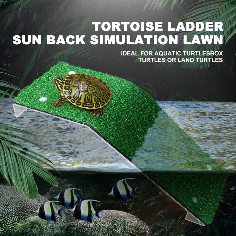 Zochlon Lawn Tortoise Climbing Ladder Reptile Terrarium Decor Turtle Accessories Tortoise Resting Basking Terrace Amphibious Reptile Tank Accessories Method Animals & Pet Supplies > Pet Supplies > Reptile & Amphibian Supplies > Reptile & Amphibian Habitat Accessories Zochlon   
