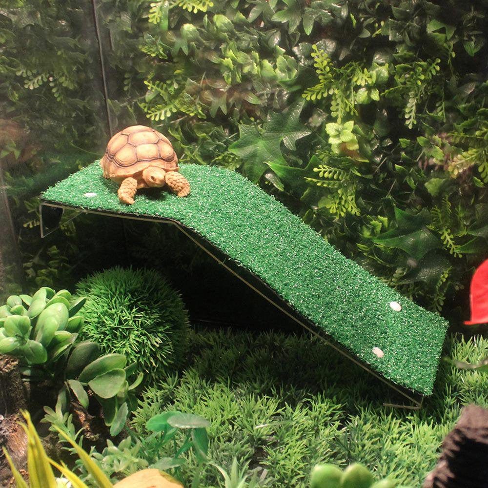 Zochlon Lawn Tortoise Climbing Ladder Reptile Terrarium Decor Turtle Accessories Tortoise Resting Basking Terrace Amphibious Reptile Tank Accessories Method Animals & Pet Supplies > Pet Supplies > Reptile & Amphibian Supplies > Reptile & Amphibian Habitat Accessories Zochlon   