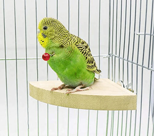ZOHOKO Parrot Cage Toys, Bird Playground Play Stand Perches for Parakeets Cockatiel Budgie, Bird Playgym with Feeder Cups Exercise Toys
