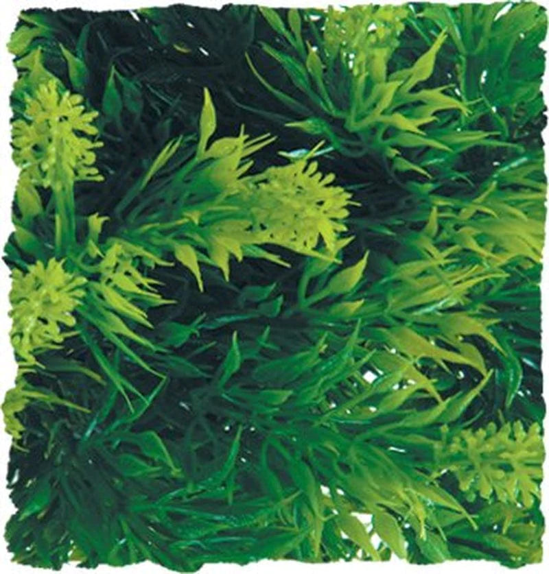 Zoo Med Malaysian Fern - Medium RZMBU-23 Animals & Pet Supplies > Pet Supplies > Reptile & Amphibian Supplies > Reptile & Amphibian Substrates Zoo Med Laboratories Inc   