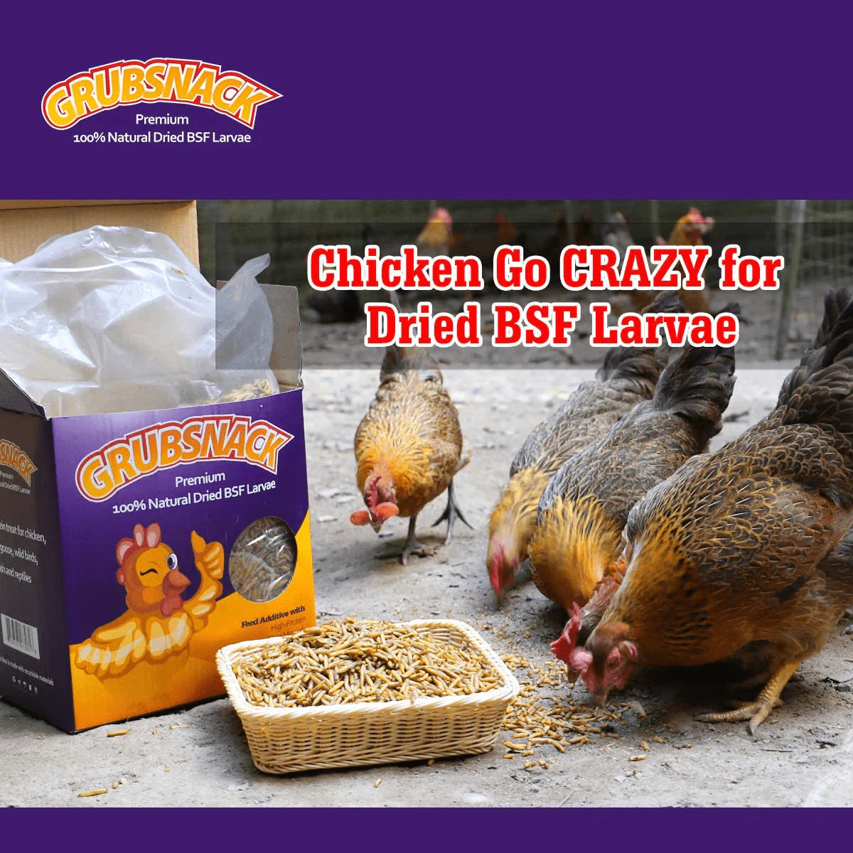 Zower 10 Lbs Natural Meally Worms-Dried Black Soldier Fly Larvae,Rich-Protein Scratch Treats with over 85X More Calcium than Dried Mealworms for Chicken,Egg Laying Hens,Birds,Amphibians and Reptiles Animals & Pet Supplies > Pet Supplies > Bird Supplies > Bird Treats Zower   