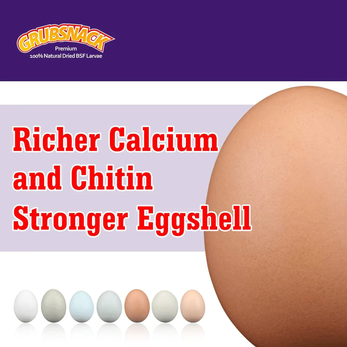 Zower 5 Lbs Natural Meally Worms-Dried Black Soldier Fly Larvae,Rich-Protein Scratch Treats with over 85X More Calcium than Dried Mealworms for Chicken,Egg Laying Hens,Birds,Amphibians and Reptiles Animals & Pet Supplies > Pet Supplies > Bird Supplies > Bird Treats SD Biotec   