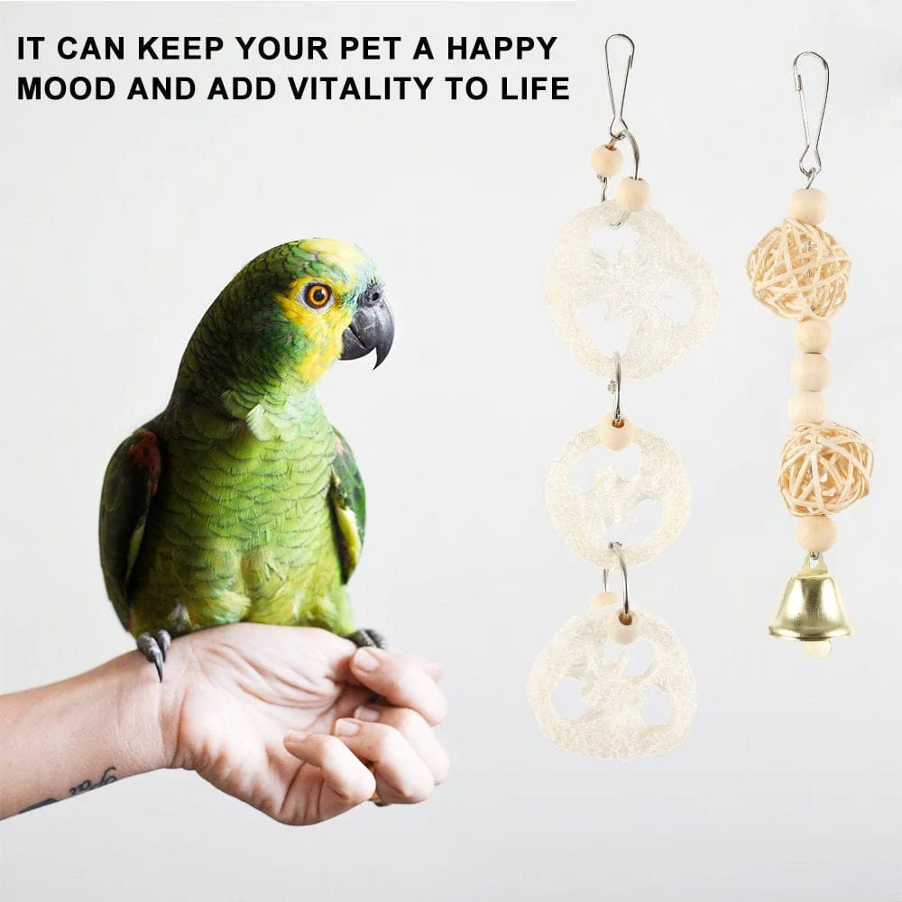 ZTOO 8Pcs/Set Pet Bird Beaks Metal Rope Small Parrot Toys Bite Chew Toys Budgie Cockatiel Cage Bird Fun Toy Animals & Pet Supplies > Pet Supplies > Bird Supplies > Bird Toys ZTOO   