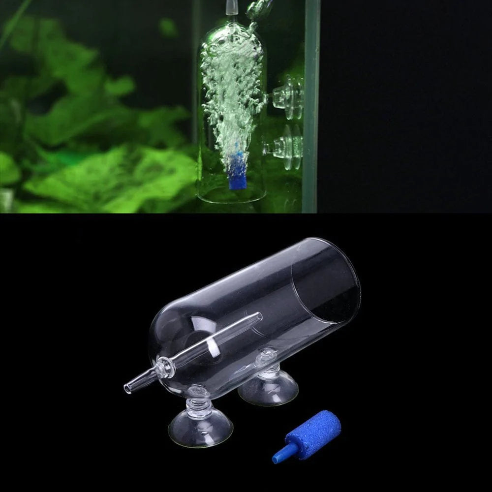 ZUARFY Aquarium Glass CO2 Diffuser Bubble Air Stone Oxygen Aeration Animals & Pet Supplies > Pet Supplies > Fish Supplies > Aquarium Air Stones & Diffusers ZUARFY   