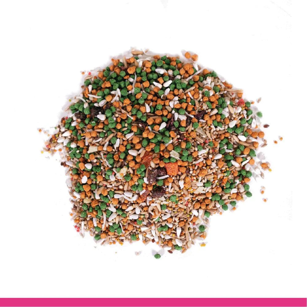 Zupreem Bright Blends | Daily Bird Food | for Medium Birds Animals & Pet Supplies > Pet Supplies > Bird Supplies > Bird Food Zupreem   