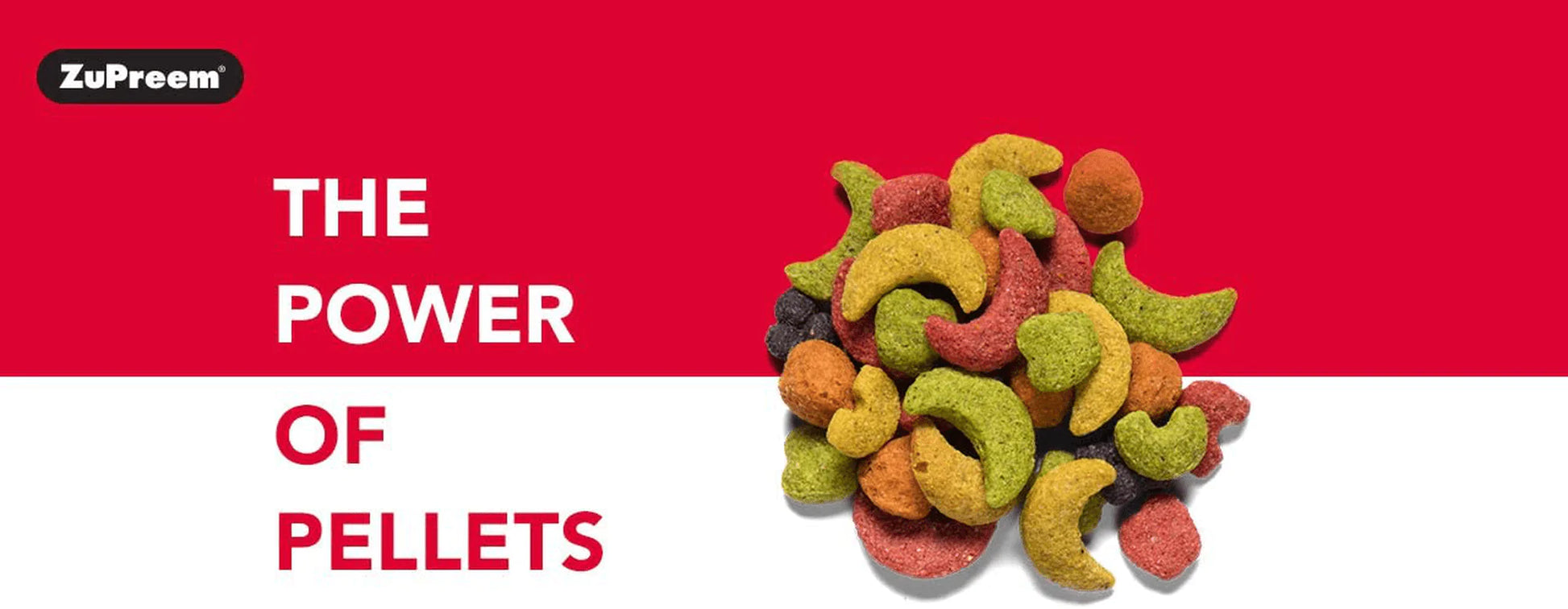 Zupreem Fruitblend Flavor Pellets Bird Food for Parrots and Conures (Multiple Sizes) - Daily Blend Made in USA for Caiques, African Greys, Senegals, Amazons, Eclectus, Small Cockatoos Animals & Pet Supplies > Pet Supplies > Bird Supplies > Bird Food ZuPreem   