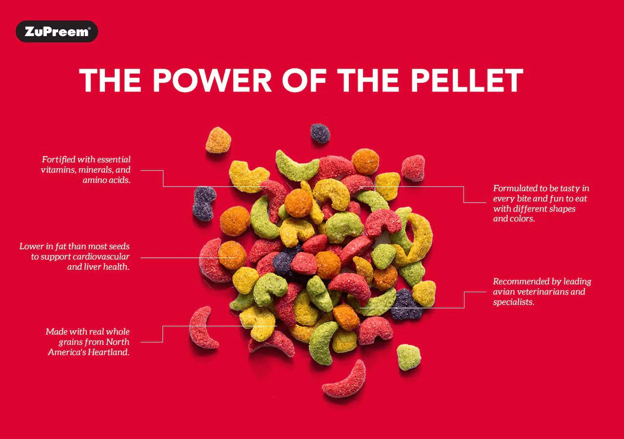 Zupreem Fruitblend Flavor Pellets Bird Food for Parrots and Conures (Multiple Sizes) - Daily Blend Made in USA for Caiques, African Greys, Senegals, Amazons, Eclectus, Small Cockatoos Animals & Pet Supplies > Pet Supplies > Bird Supplies > Bird Food ZuPreem   