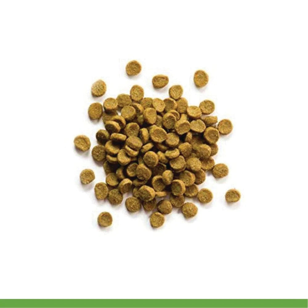 Zupreem® Grain Free Ferret Diet | Daily Food for Ferrets | 4Lbs Animals & Pet Supplies > Pet Supplies > Small Animal Supplies > Small Animal Food Zupreem   