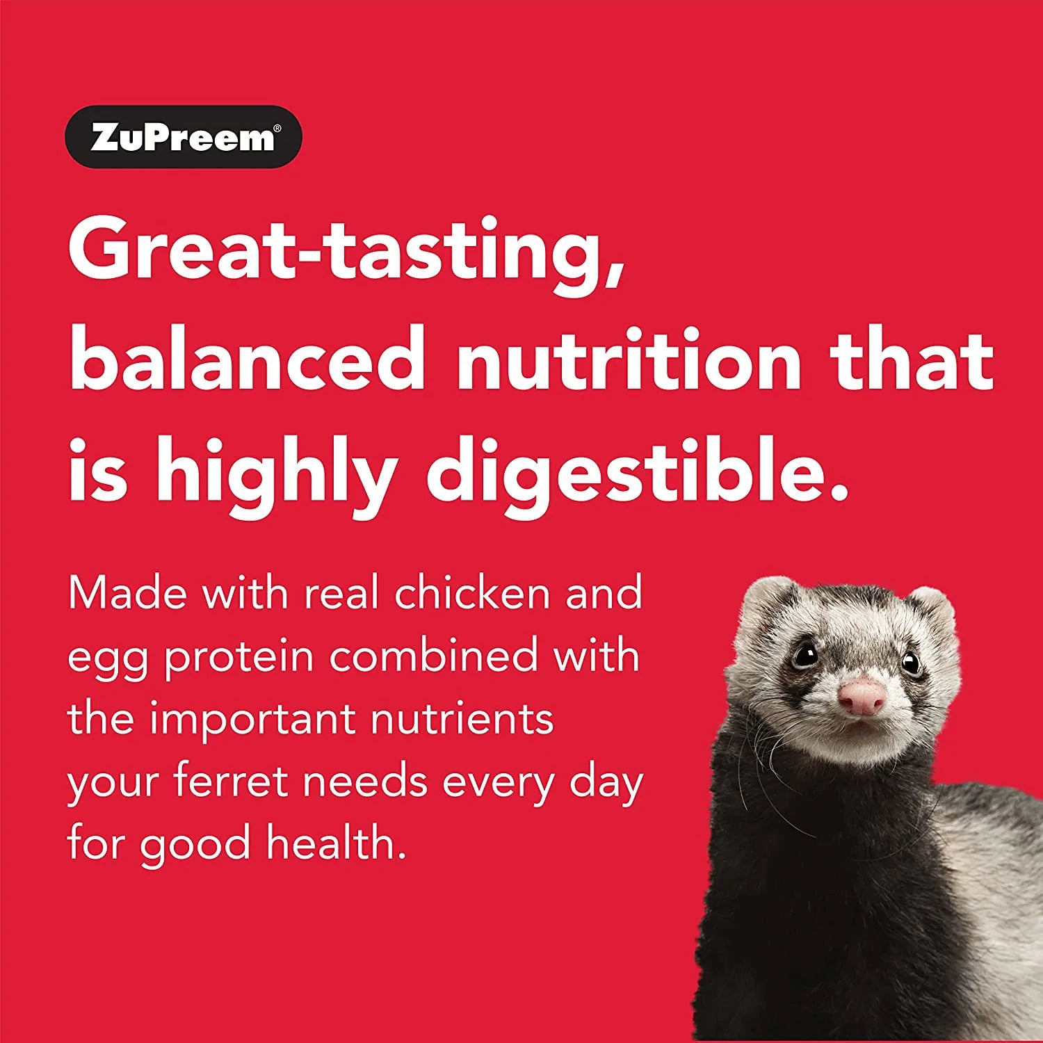 Zupreem Premium Daily Ferret Food - Made in USA, Complete Nutrition Diet, Highly Digestible, No Corn Animals & Pet Supplies > Pet Supplies > Small Animal Supplies > Small Animal Food ZuPreem   