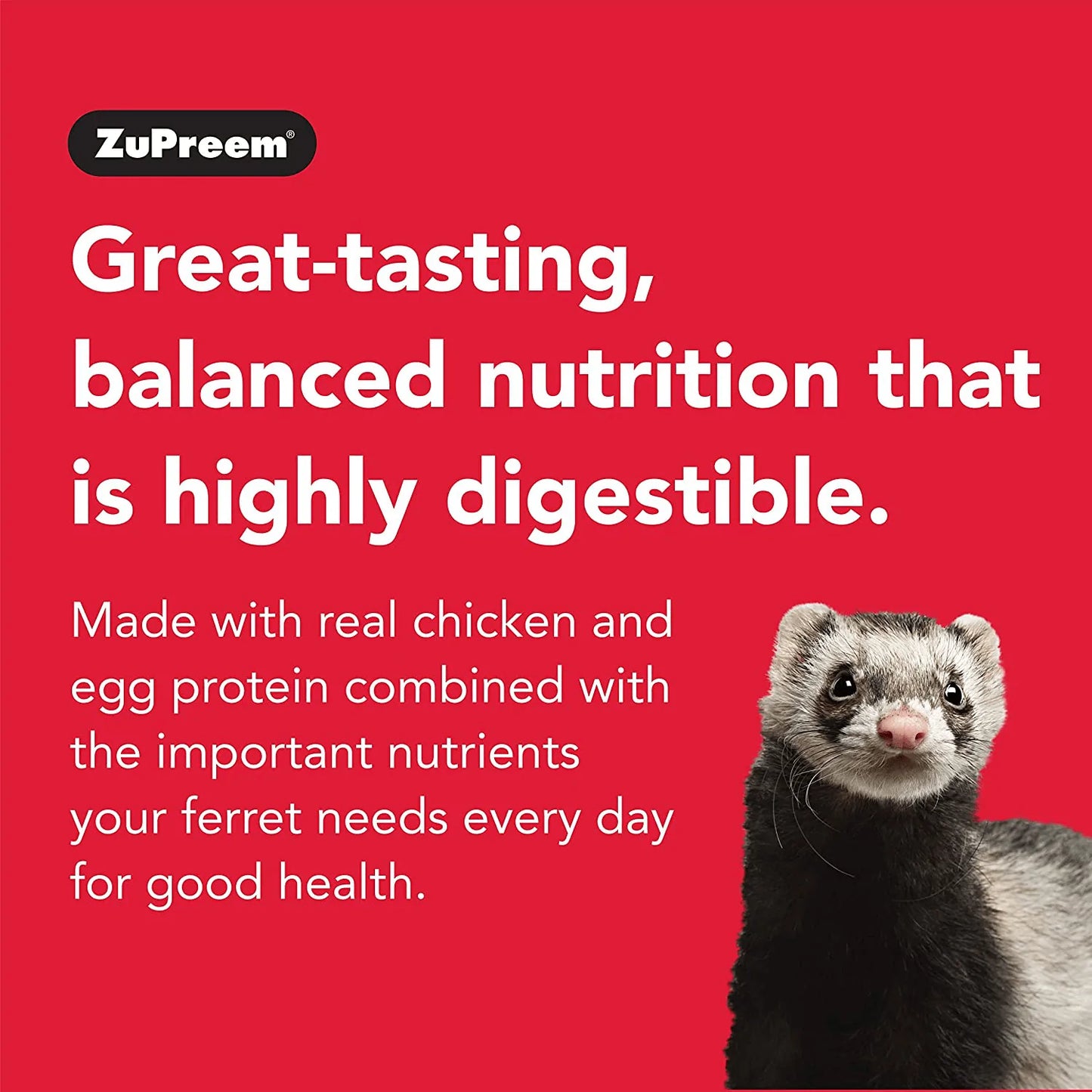 Zupreem Premium Daily Ferret Food - Made in USA, Complete Nutrition Diet, Highly Digestible, No Corn