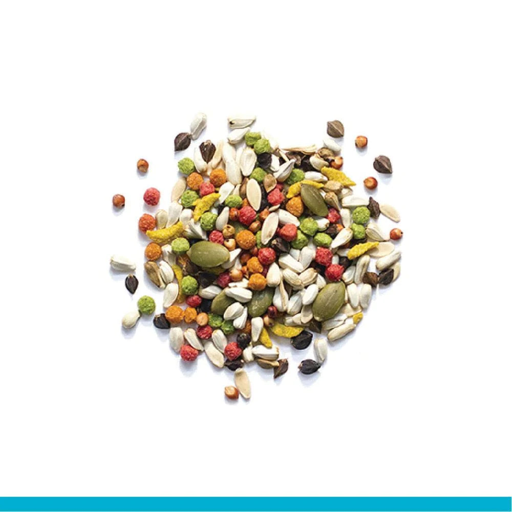 Zupreem® Sensible Seed® | Bird Food for Medium Birds | 2 Lb Animals & Pet Supplies > Pet Supplies > Bird Supplies > Bird Food Zupreem   