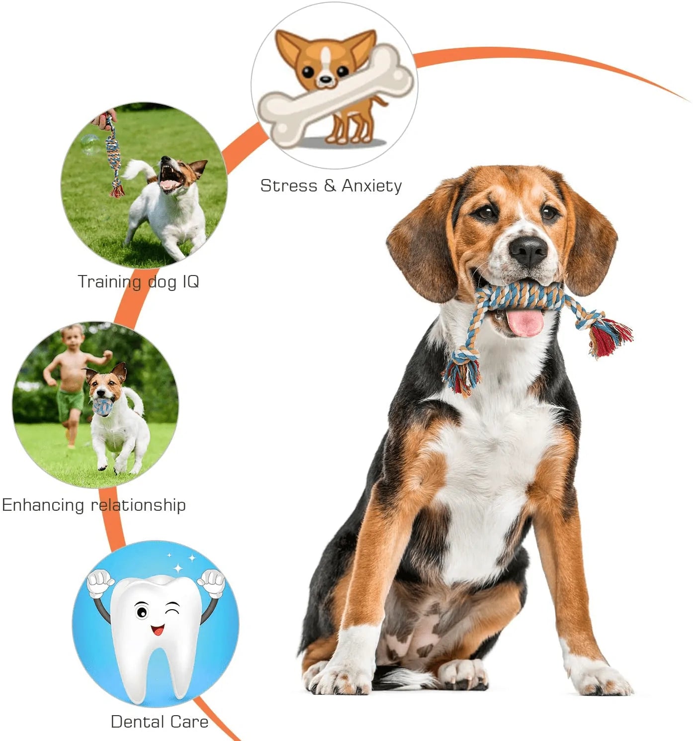 Pet Supplies : Dog Rope Toy for Puppy Teething, Indestructible Dog