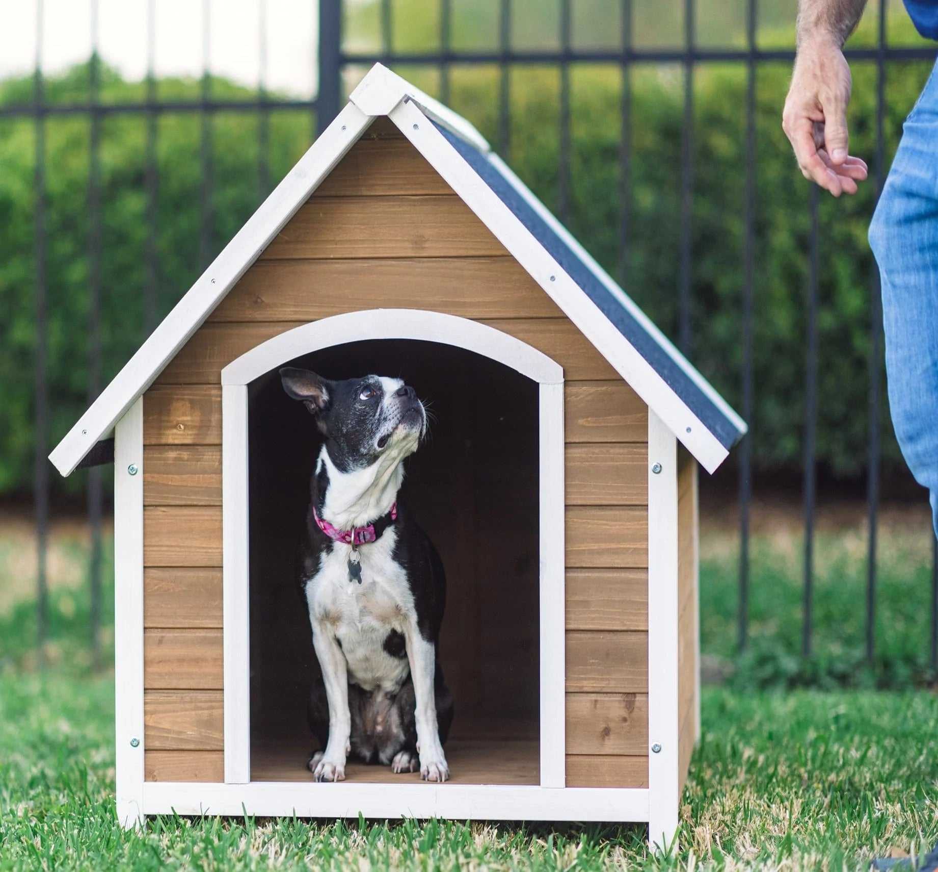 Zylina Country Lodge Wooden Dog House 40" X 33" X 35" Animals & Pet Supplies > Pet Supplies > Dog Supplies > Dog Houses Zylina   