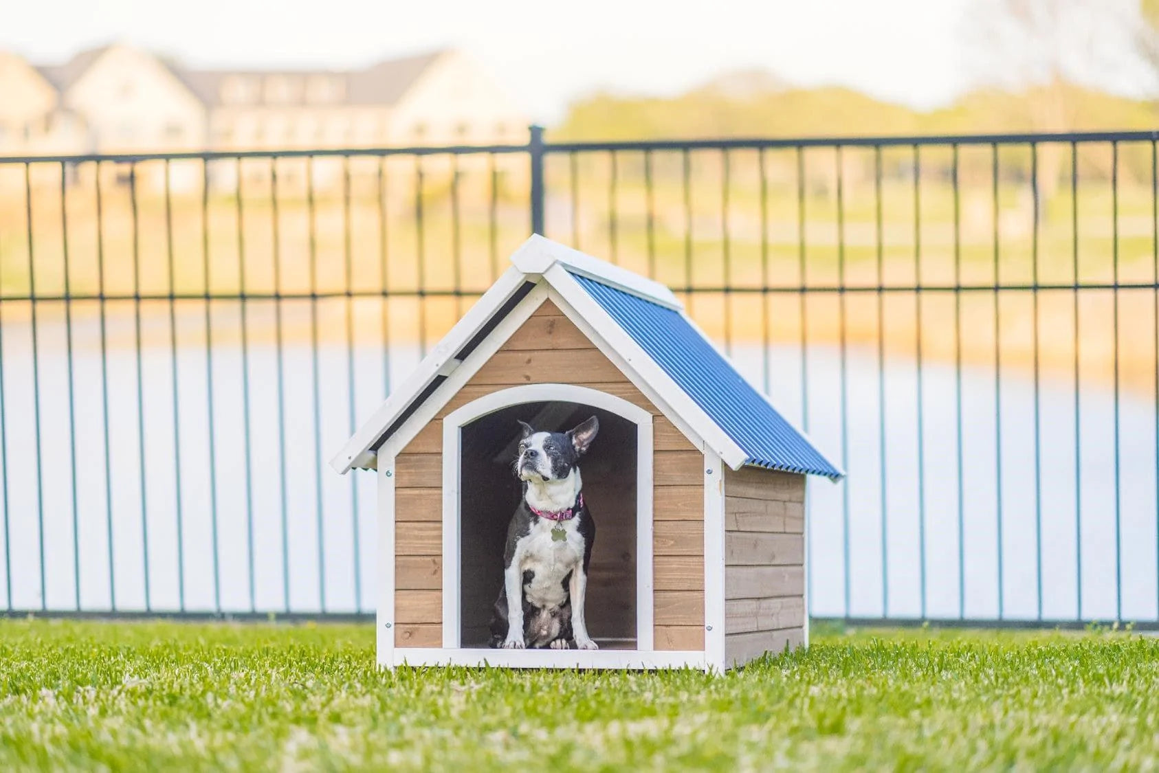 Zylina Country Lodge Wooden Dog House with PVC Roof, 40" X 33" X 35" Animals & Pet Supplies > Pet Supplies > Dog Supplies > Dog Houses Zylina   